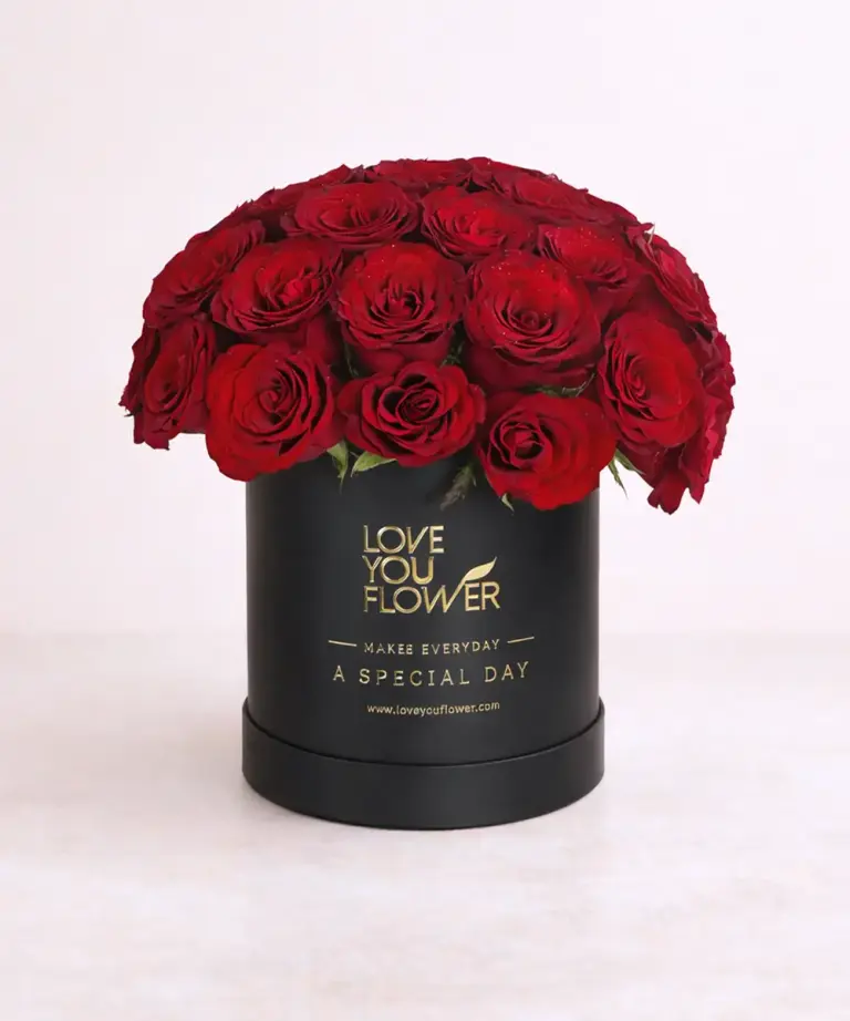 VBX027-S LYF Cherie Amour (S)