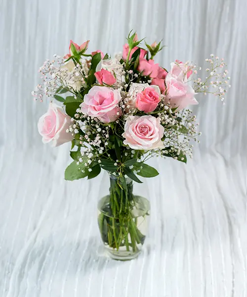 C083 LYF Lina (แสงสว่าง)